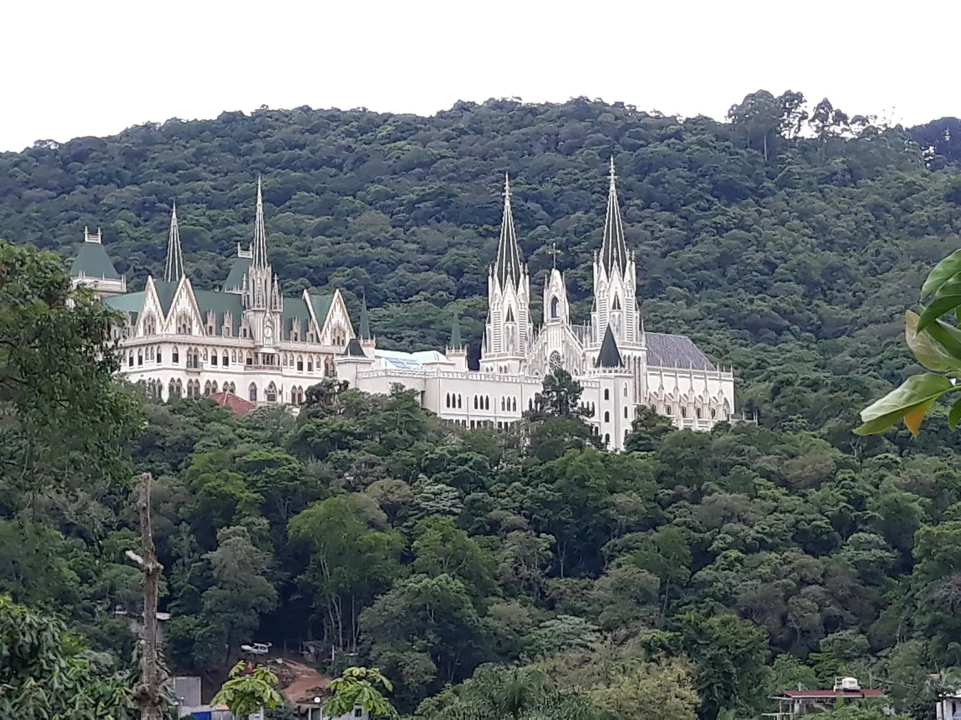 Vista da mata de Caieiras com a metrópole ao fundo