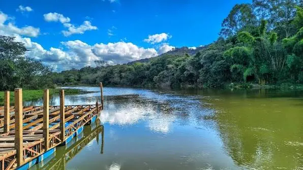 Bosque da Amizade e Parque Linear